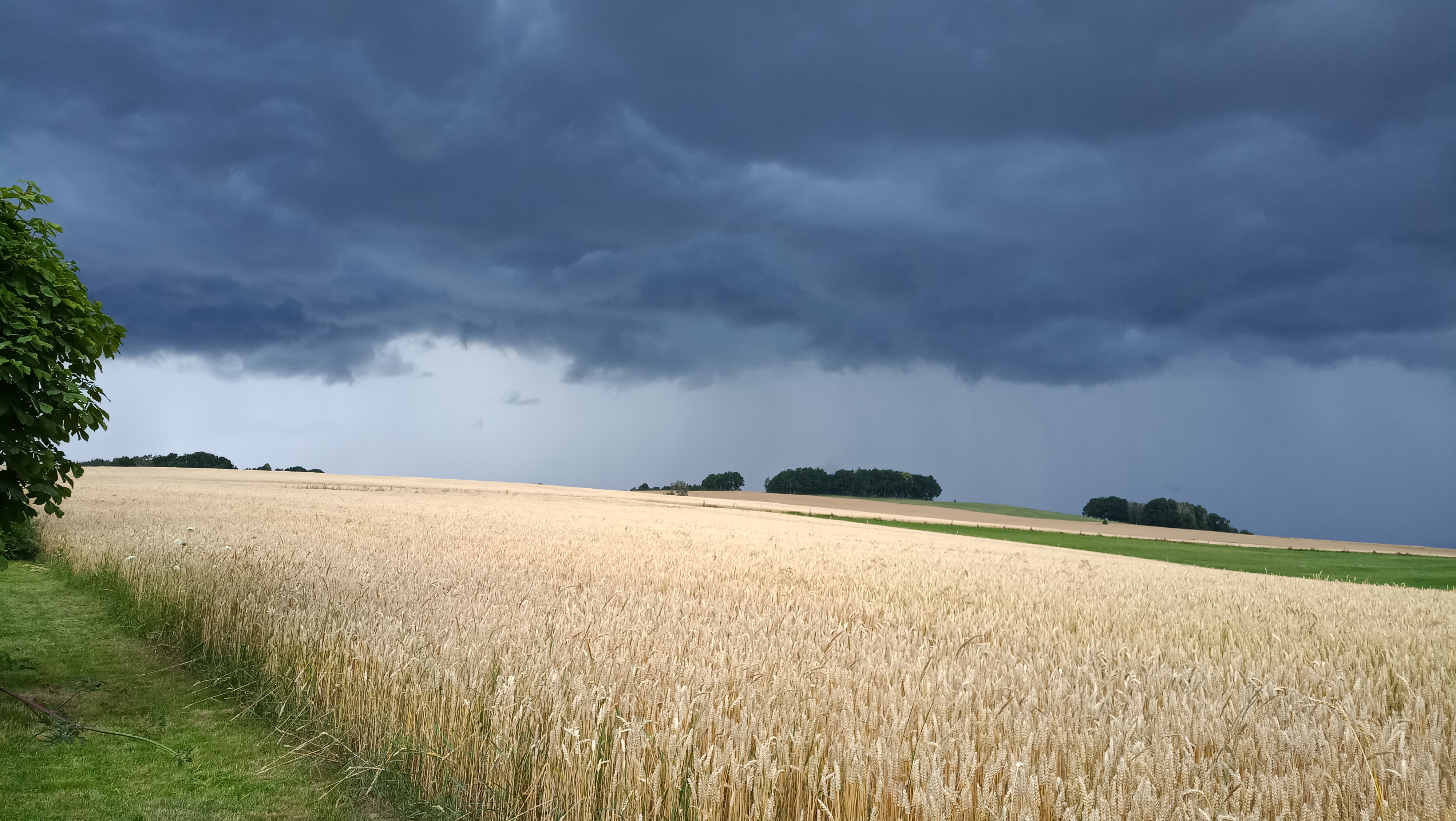 Blick vom Seidelberg